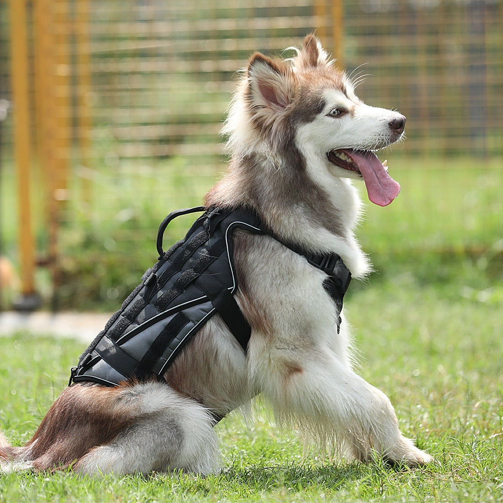 Military Tactical Dog Harness