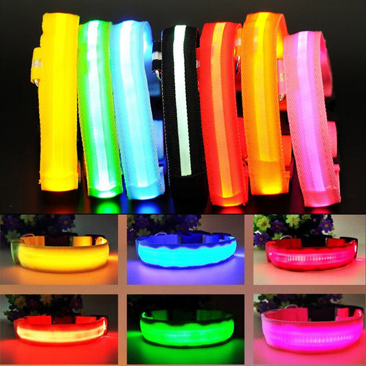 LED Dog Collar