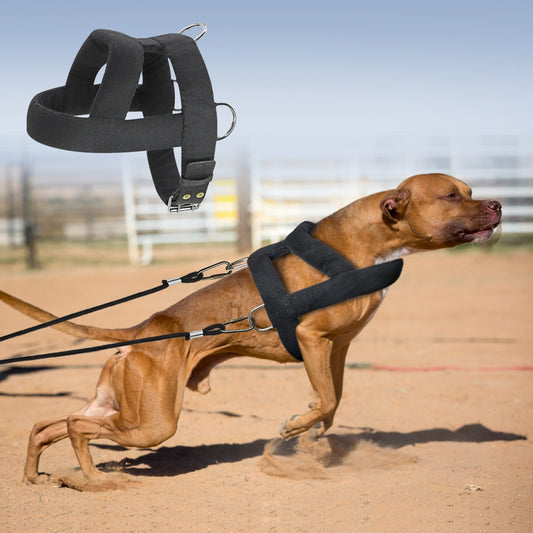 Dog Weight Pulling Harness