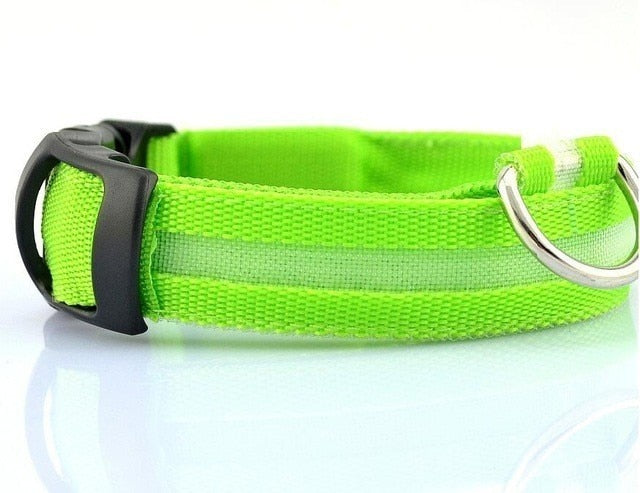 LED Dog Collar