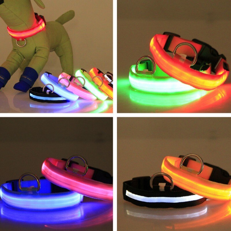 LED Dog Collar