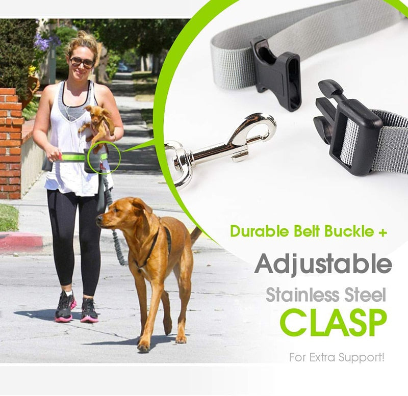 Benepaw Reflective Handsfree Dog Leash With Two Storage Bags