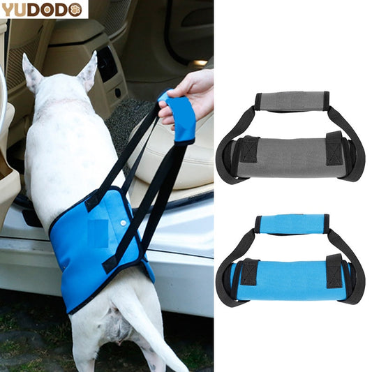 Dog Harness with Handle For Support