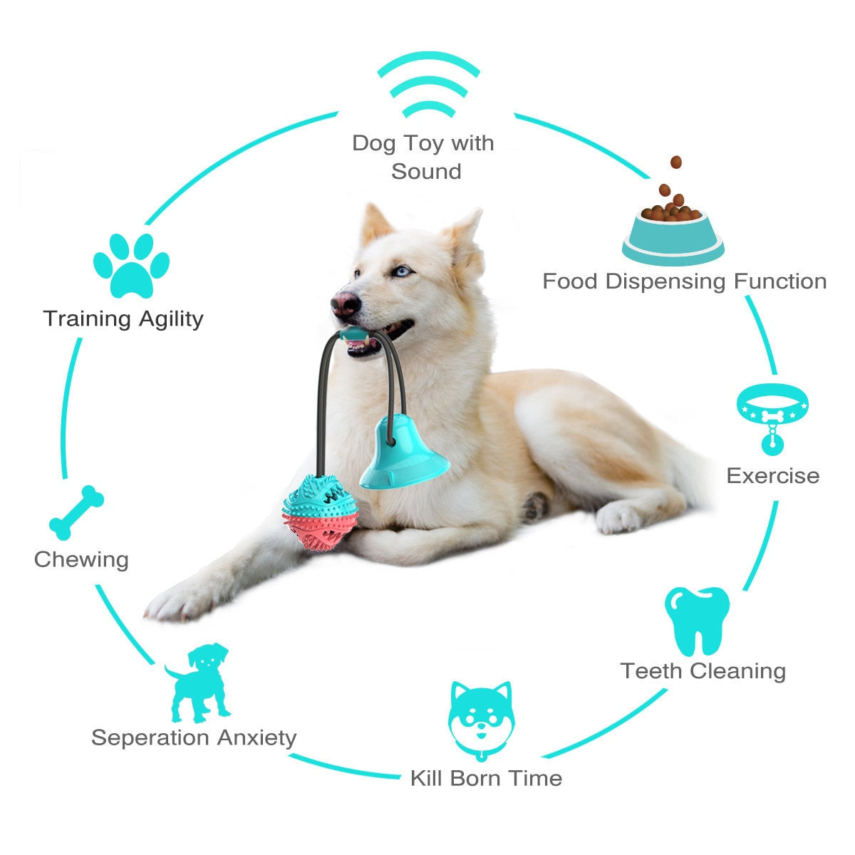 Tug Toy For Dogs With Suction Cup