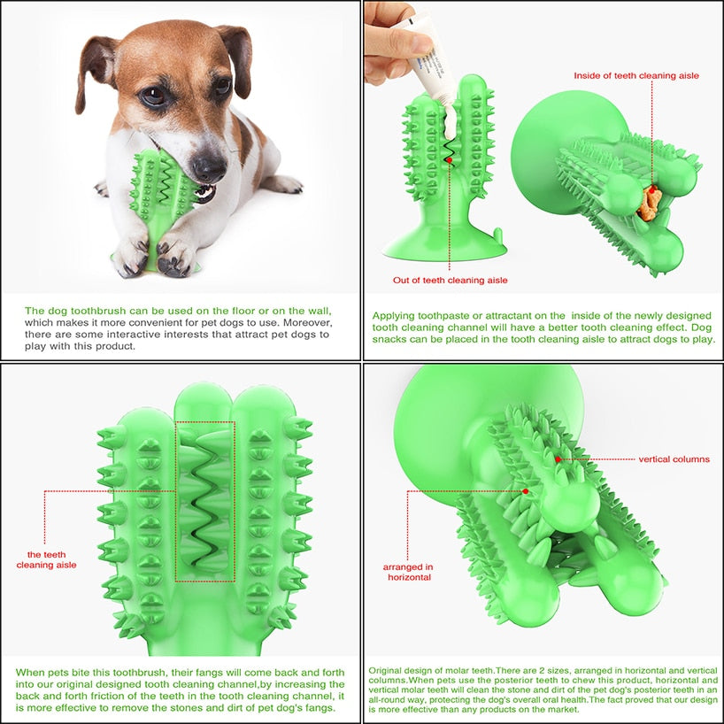 Dental Chew Toys for Dogs