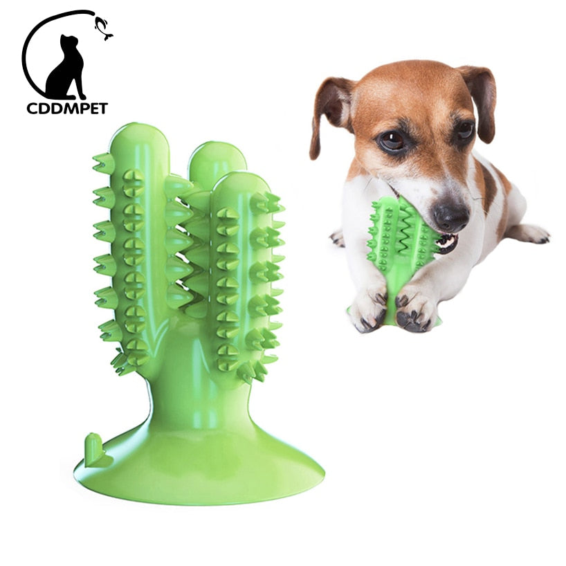 Dental Chew Toys for Dogs
